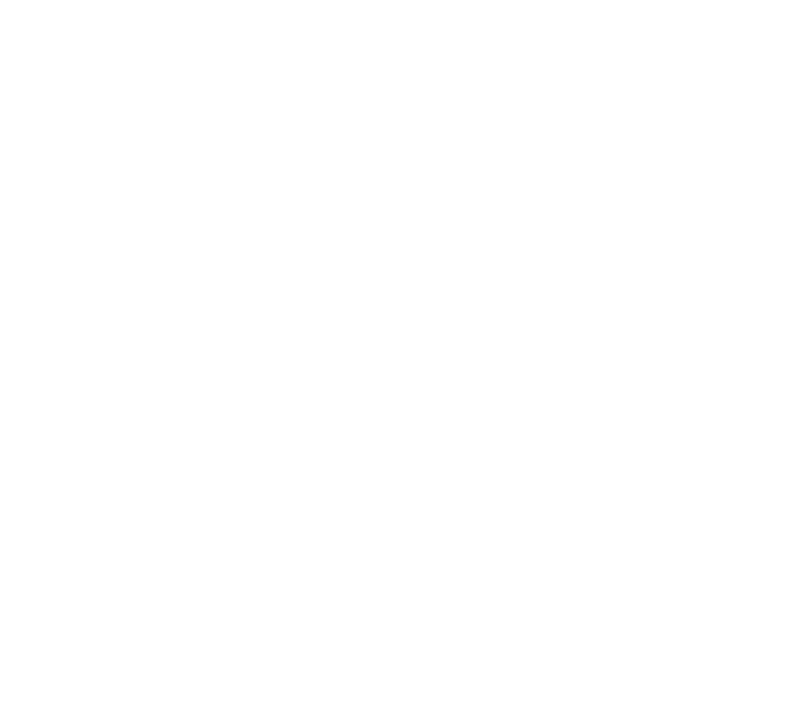 About Our Company